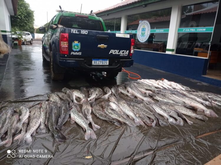 Pescador é multado em R$ 10,2 mil com 360 kg de pescado