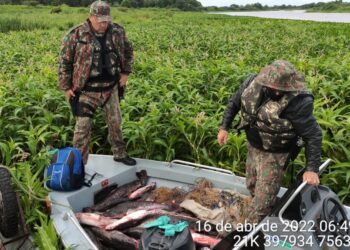 Operação Semana Santa da PMA começa nesta quarta contra a pesca predatória