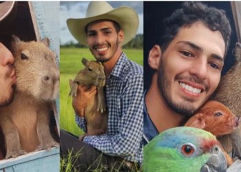 Tiktoker é multado “caro”, vai ter que entregar a capivara e internautas se revoltam