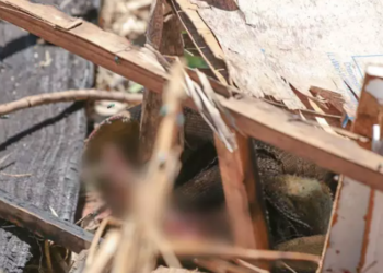 Corpo carbonizado em modo “micro-ondas” é encontrado no Jardim Itamaracá