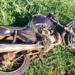 Motociclista bate em placa passa direto em rotatória e morre na BR-463