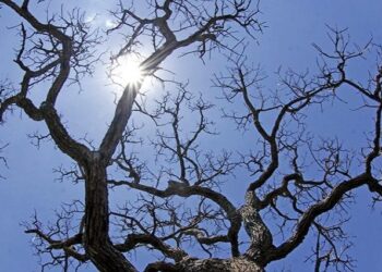 Temperaturas caem neste domingo de Páscoa e deve ter frio em regiões de MS