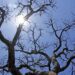 Temperaturas caem neste domingo de Páscoa e deve ter frio em regiões de MS