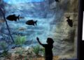 No Dia Mundial de Conscientização do Autismo, Bioparque realiza visitação inclusiva