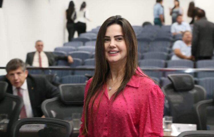 Deputada pede asfalto da MS-180 e sinalização em trecho de acesso a rancho