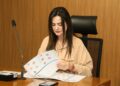 CCJR é favorável ao tratamento diferenciado a gestantes que perdem bebê
