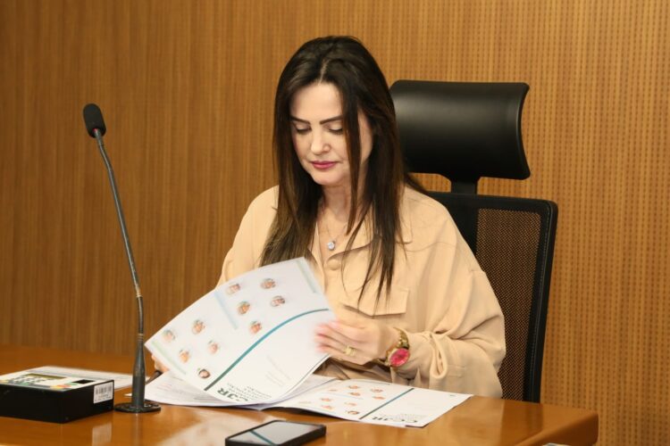 CCJR é favorável ao tratamento diferenciado a gestantes que perdem bebê