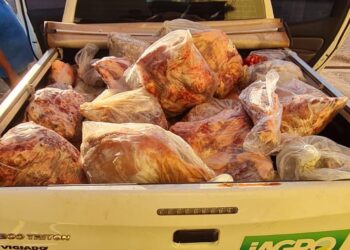 Polícia e IAGRO apreendem quase uma tonelada de carne podre em MS