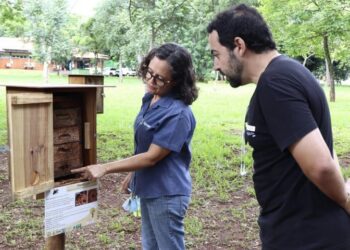 Parque das Nações Indígenas recebe neste domingo curso sobre criação de abelhas sem ferrão