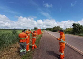 Tentativa desesperada: PMA coloca bonecos para salvar animais em rodovia do Pantanal