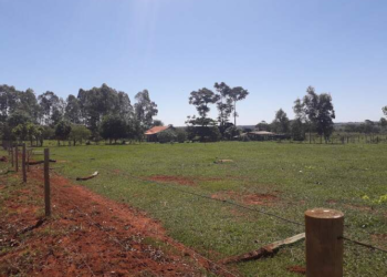 Corpo em avançado estado de decomposição é encontrado por ex-esposa em sítio de MS