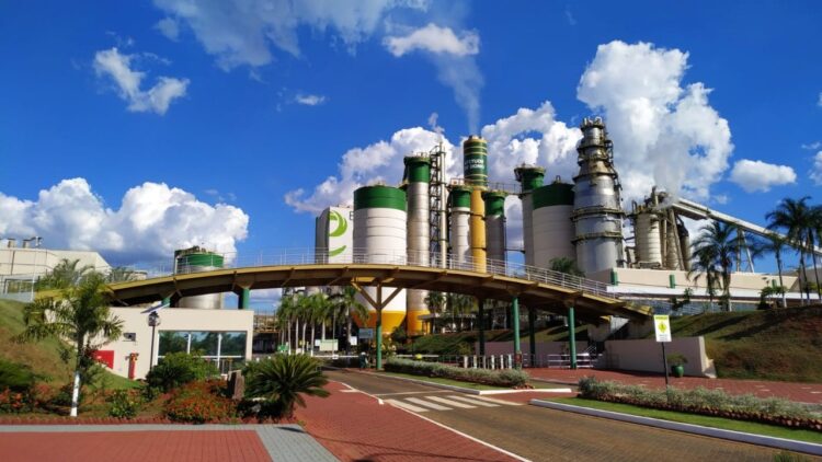 Eldorado Brasil está com mais de 200 vagas no mês de abril
