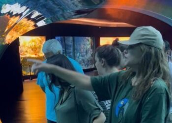 Juma da primeira versão da novela Pantanal, Cristiana Oliveira visita Bioparque Pantanal