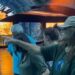 Juma da primeira versão da novela Pantanal, Cristiana Oliveira visita Bioparque Pantanal