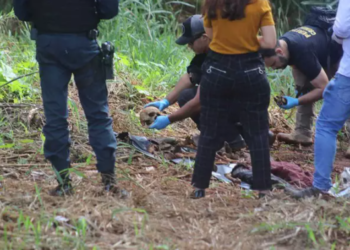 Ossada humana é encontrada no Portal Panamá e pode ser de idoso sumido desde 2022