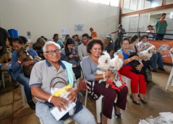 Subea realiza segundo plantão de castração com 200 vagas para cães e gatos