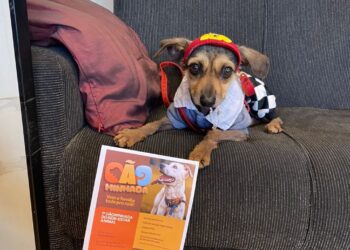Agendão pro final de semana: Cãominhada, Semana de Museus e Festa de São Benedito; entre outros eventos