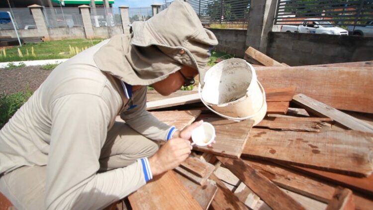 Dados revelam que 8 regiões estão em risco para infestação do Aedes aegypti na Capital
