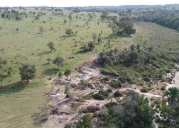 Paulista é multado em R$ 46 mil por causar erosões em 9 hectares de nascentes em MS