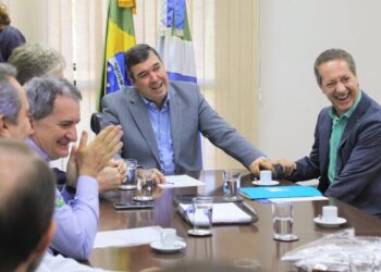 Desenvolvimento: investimentos privados na cadeia suína podem chegar a R$ 1 bi em MS