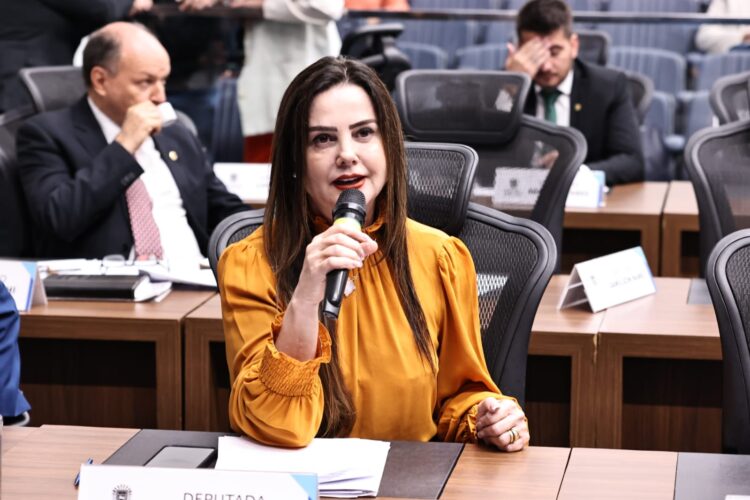 Deputada solicita construção de quadra de futebol para aldeia em Coronel Sapucaia