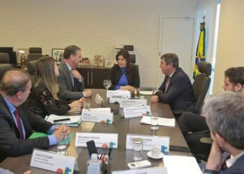 Estratégias de desenvolvimento norteiam reunião entre governador e ministros do Planejamento e da Agricultura