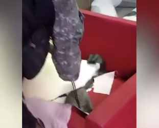 Batalhão de Choque prende tapeceiro que fazia sofás com drogas para enviar a outros estados