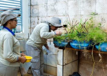Mais de 2,7 mil imóveis foram inspecionados durante ação de combate à Dengue no Jardim Noroeste