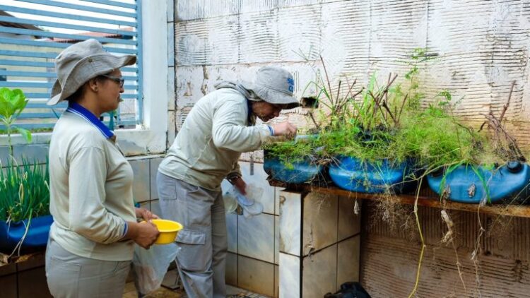 Mais de 2,7 mil imóveis foram inspecionados durante ação de combate à Dengue no Jardim Noroeste