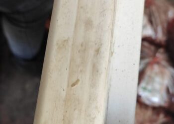 Dono de mercearia é preso por vender carne com larvas no Guanandi