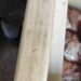 Dono de mercearia é preso por vender carne com larvas no Guanandi