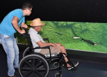 Três lugares para conhecer no Dia Mundial da Conscientização sobre Acessibilidade