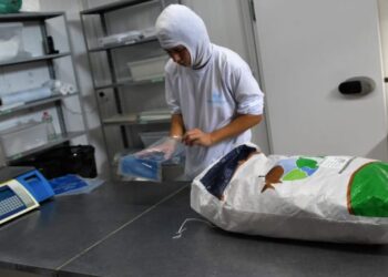 A partir do SIM, comerciante amplia negócios e expande vendas para indústria