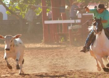 Circuito de Laço Comprido anuncia adiamento do Brasileirão 2023