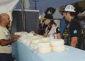 Começa a contagem regressiva para a 6ª edição da Festa do Queijo