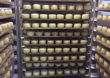 Prefeitura realiza hoje Festa do Queijo em Rochedinho