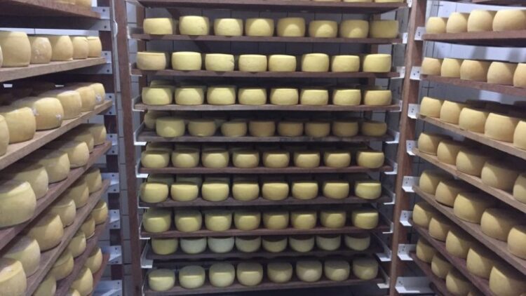 Prefeitura realiza hoje Festa do Queijo em Rochedinho