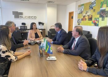 Governador discute com a Sudeco investimentos em cadeias produtivas de MS