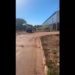 Corpo de bebê recém-nascido é encontrado dentro de mochila em terreno baldio