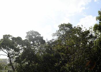 Semana começa com aumento gradativo dos termômetros e com queda da umidade relativa do ar