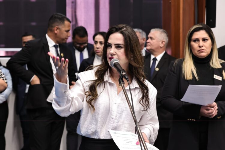 Para a segurança dos rochedenses, deputada solicita controle de velocidade na MS-080
