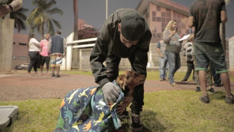 Prefeitura leva cobertores para atender animais acolhidos por protetores e pessoas em situação de rua