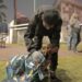 Prefeitura leva cobertores para atender animais acolhidos por protetores e pessoas em situação de rua