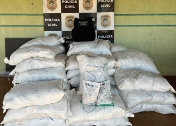 Polícia apreende meio milhão de reais em agrotóxicos transportados em Fiat Toro