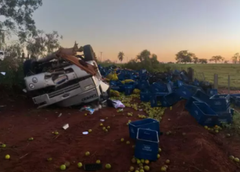 Condutor morre, após caminhão capotar com frutas e verduras na MS-395