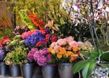 De flores a rodízio de pizzas, pesquisa do Procon/MS indica variação de preços no Dia dos Namorados