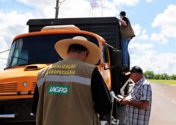 Governo decreta estado de alerta zoosanitário e cria sistema de monitoramento de prevenção à gripe aviária