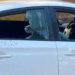 Passageira é esfaqueada 5 vezes por motorista de app, após brigar e quebrar vidros do carro