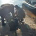 Corpo de homem que caiu há 4 dias no Rio Paraguai é encontrado pela Marinha e bombeiros