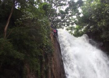 Grupo se reúne para limpar o Céuzinho para comemorar o Dia do Meio Ambiente